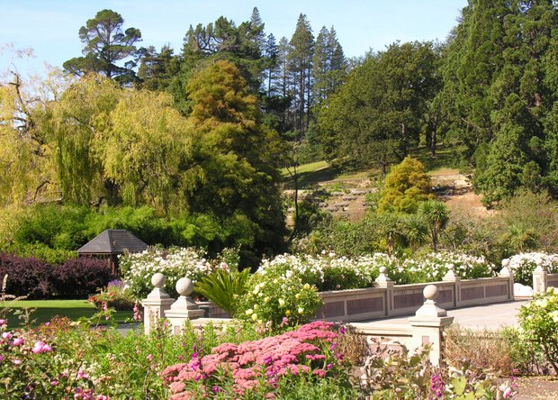 Dunedin wins Most Beautiful City Award