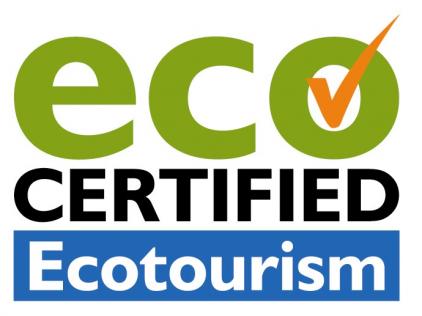 Google commences showcasing ECO Certification in accommodation listings