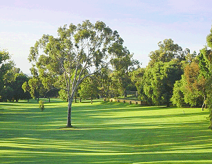 City of Bayswater offers golf business opportunity