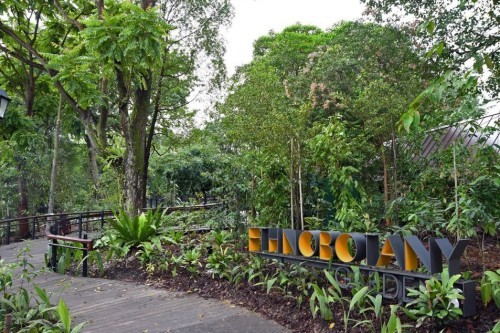 New ethnobotany garden opens at Singapore Botanic Gardens