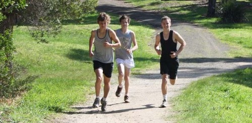 Sutherland Shire and Fitness Australia launch outdoor training policy