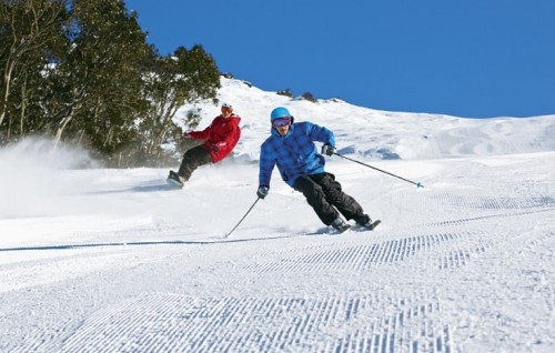 Fresh snow alert at Hotham and Falls Creek