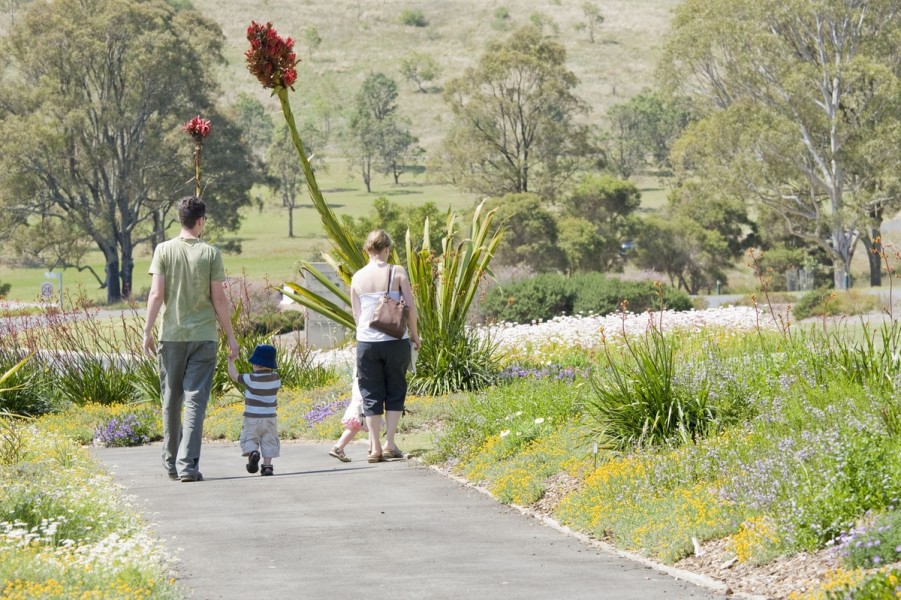 Improvements and local population rise drive record visitation at Australia’s largest Botanic Garden