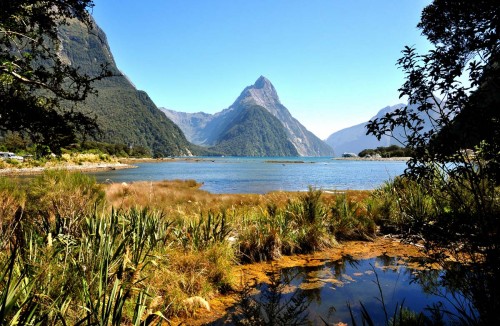 Jobs for Nature provides employment in Fiordland National Park