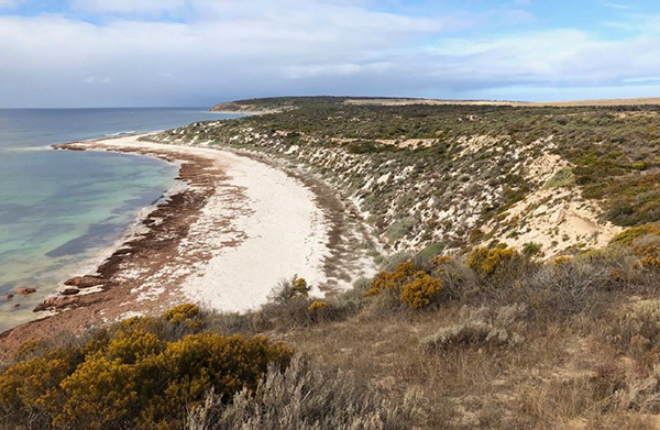 Joint funding to secure wildlife haven on Flinders Island