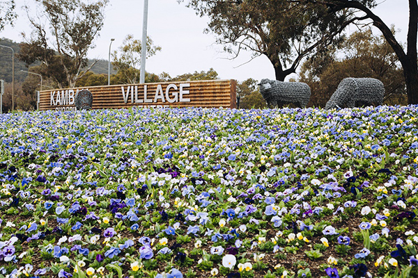 Canberra welcomes the return of Floriade
