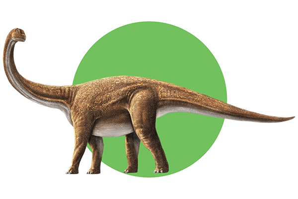 Fossil emblem shortlist recognises importance of dinosaurs to Queensland tourism