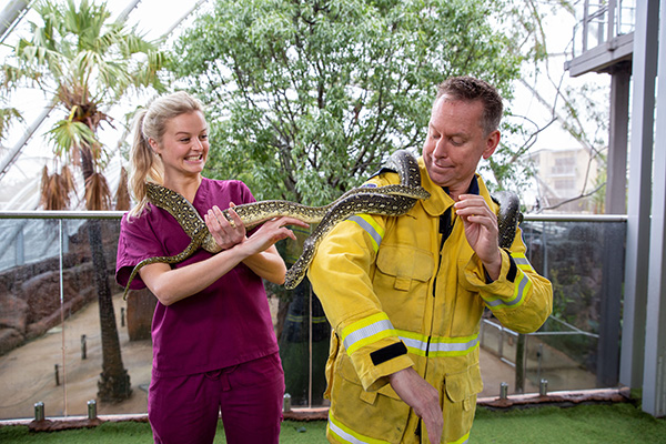 Merlin Entertainments Group’s Sydney attractions offer frontline workers free entry in August