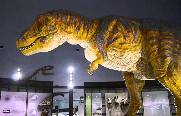 Fukui dinosaur museum set to undergo multi-million dollar refurbishment