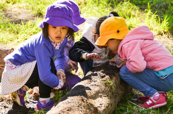 $1.5 million grant to fund Sydney’s first Children’s Wild Play Garden in Centennial Park