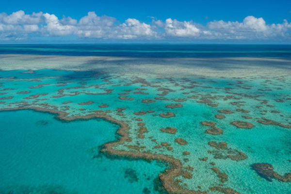 Great Barrier Reef Marine Park Authority Chief Executive appointment receives mixed reaction