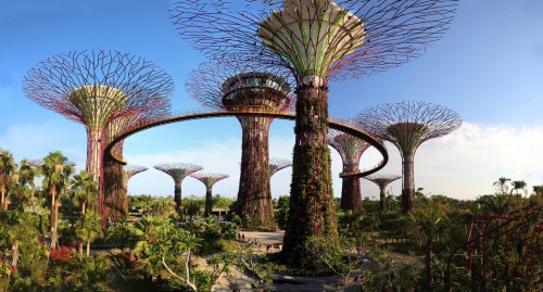 ‘Supertrees’ for Singapore Garden Project