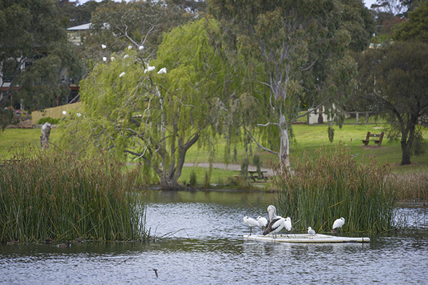 Comment invited on plans for Geelong’s Blue Waters Lake Reserve