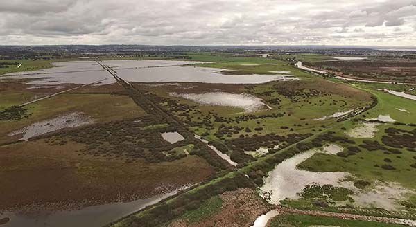 Plans unveiled for Geelong’s new nature reserve