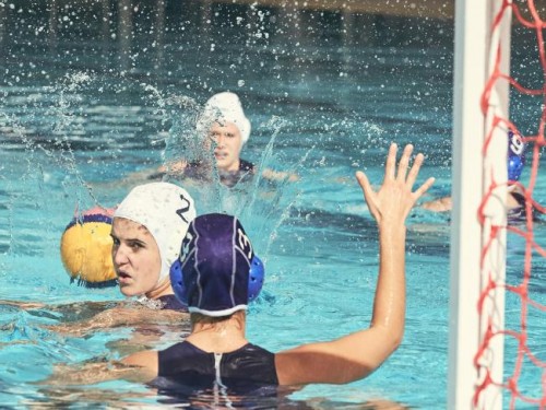 Tasmania welcomes growth in Junior Water Polo