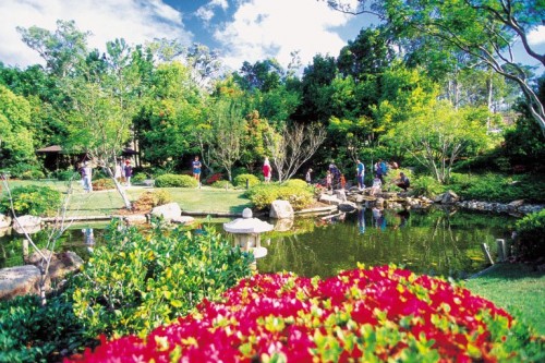 Gold Coast Botanic Gardens begin recycling program