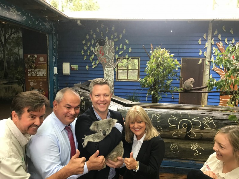 Gold Coast City Council looks to boost local koala habitat