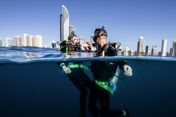 Gold Coast tour businesses selected to operate Wonder Reef dives