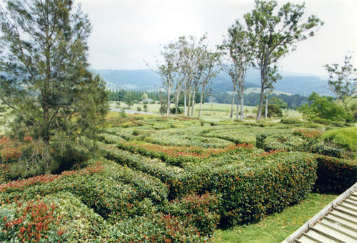 Granties Maze finally opens on the NSW South Coast