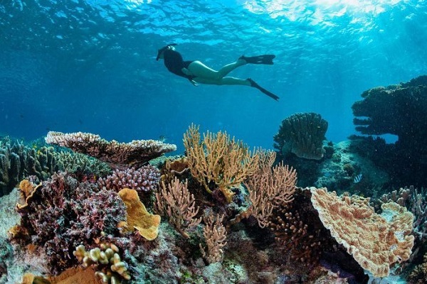 Tourism Report calls for more effective climate change strategies to save our oceans