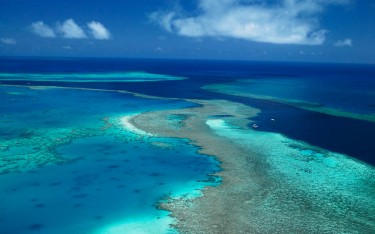 Tourist abandoned on Great Barrier Reef snorkelling trip