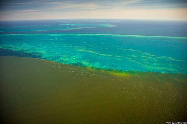 Conservationists welcome funding to address water pollution and illegal fishing impacting the Reef