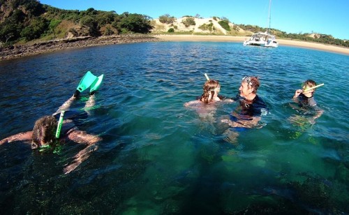 New snorkelling and diving Code of Practice now in force in Queensland