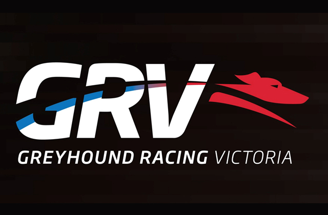 Transitional board appointed for Greyhound Racing Victoria