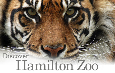 Hamilton Zoo encourages free visits by schools