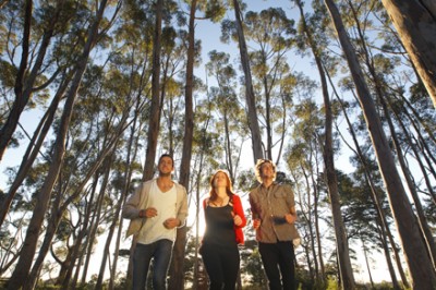 Deakin University study into the health benefits of parks