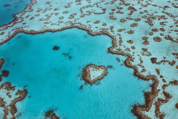 Great Barrier Reef’s Heart Island opened up for helicopter excursions