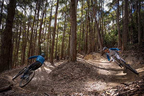 New Hobart trails to attract more mountain bike tourists and events