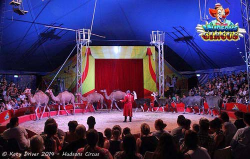New Australian circus tours Queensland