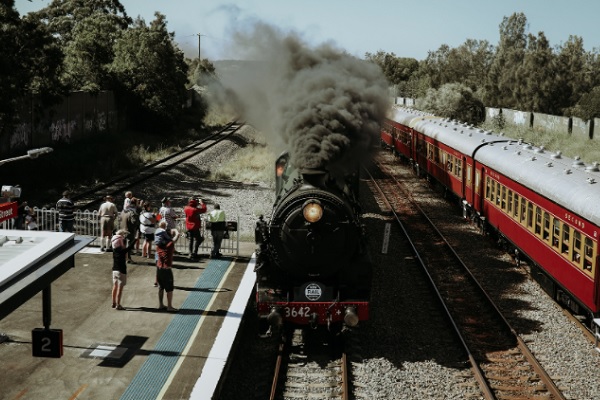 Celebrating 25 years of the Hunter Valley SteamFest