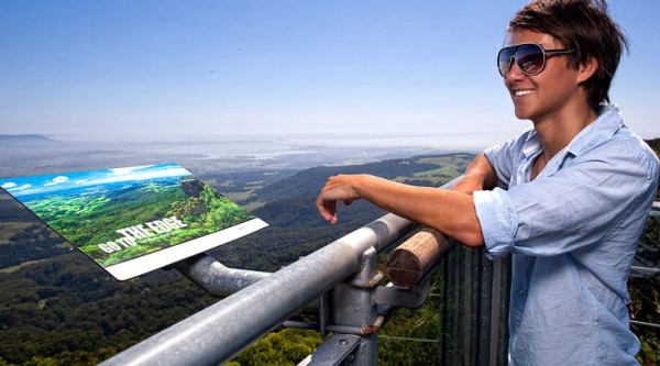 Illawarra Fly Treetop Walk reaches 10 years of operations