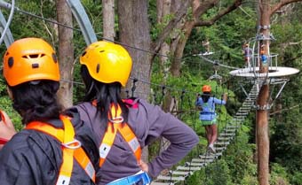 Zip line Canopy Tour launches at Illawarra Fly