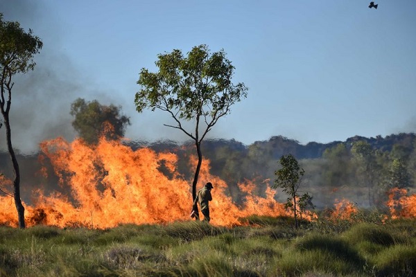 Rise in insurance premiums impacts Indigenous rangers’ bushfire prevention work in Western Australia’s Kimberley