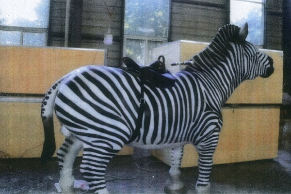 Granties Maze introduces world-first mechanical zebra attraction