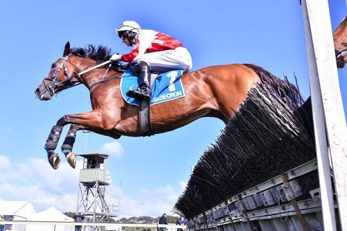 Victoria Ends jump horseracing