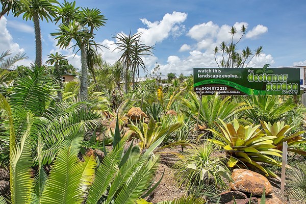 Cairns Jurassica Project aims to conserve and preserve some of Australia’s most endangered species