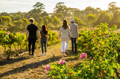 South Australian Tourism Commission launches Agritourism Plan 2025