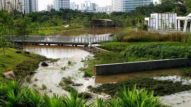 Singapore residents enjoy new eco-garden