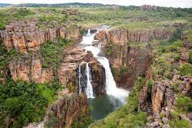 World Parks Congress learns of decline in Kakadu National Park wildlife numbers