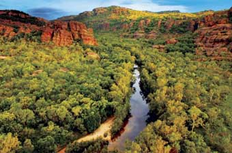 Conservationists call for action in Kakadu