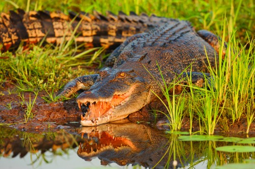 Parks Australia looks to appoint Kakadu Park Manager