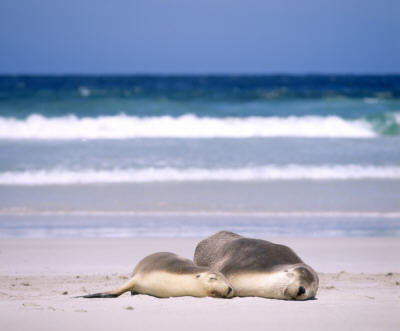 Ecotourism leaders gather in Adelaide