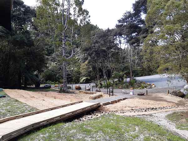 Auckland’s Karamatura Valley tracks reopen following kauri dieback programme