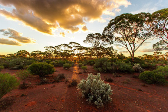 $1 million funding for Western Australia’s recreation trails