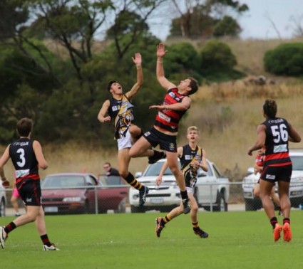 Kingborough sport community welcomes new Twin Ovals grandstand