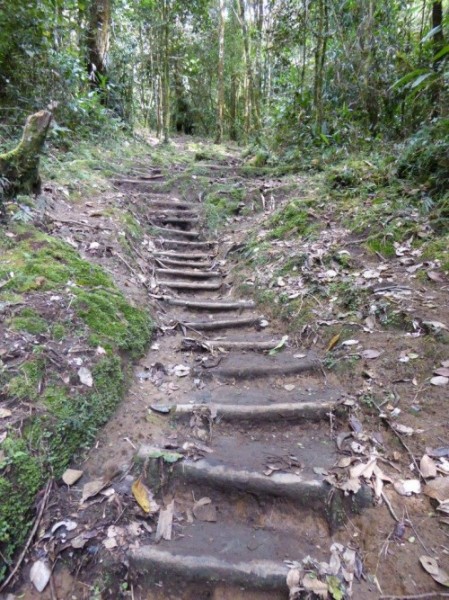 Queensland and PNG rangers work together on historic Kokoda track